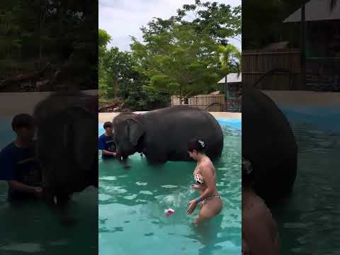 boom  huna  #luckyrajor lucky rajor insta hot reels school dress