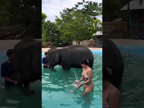 original reel lucky RAJOR ❣️