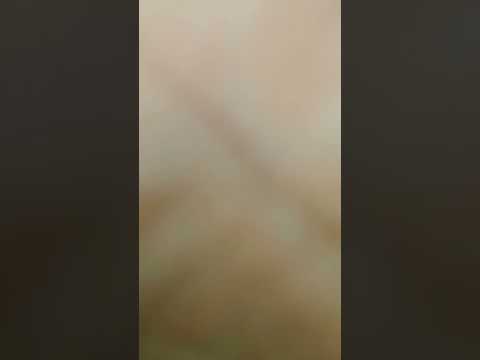 #shorts #Gouri Queen